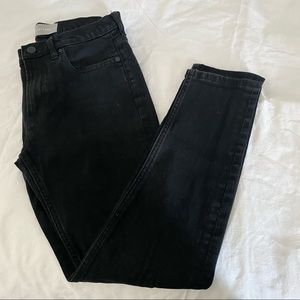 Everlane Black High Rise Ankle Skinny Jean